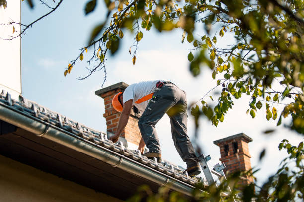 Best Roof Repair Services  in Mosinee, WI