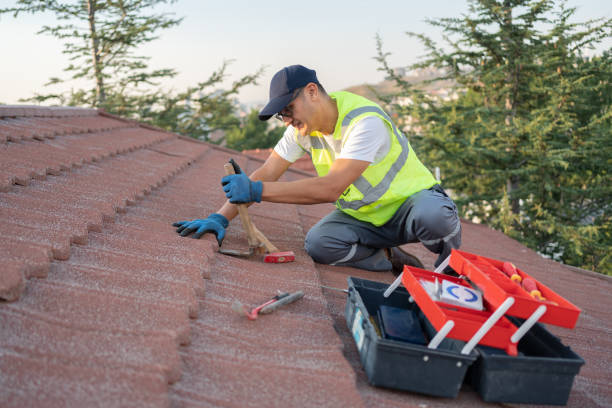 Best Roof Gutter Cleaning  in Mosinee, WI